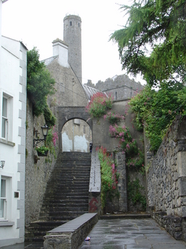 IRL 1385 Kilkenny