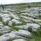 IRL 697 the Burren