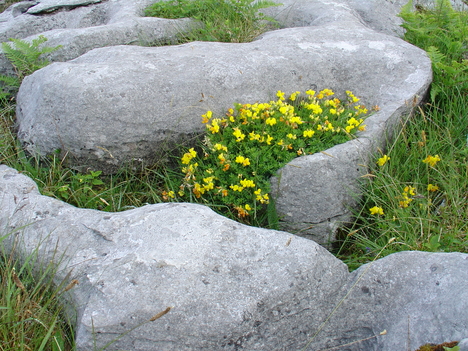 IRL 704 the Burren