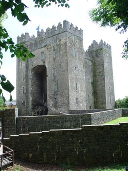 IRL 778 Bunratty castle