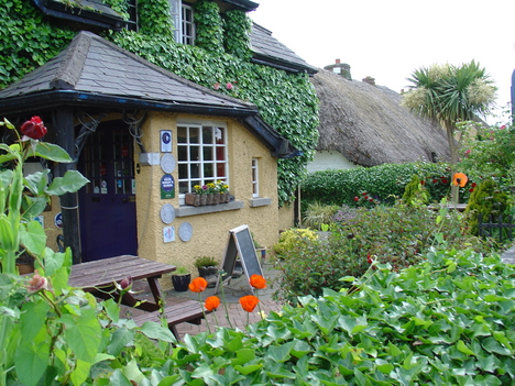IRL 805 Adare falu