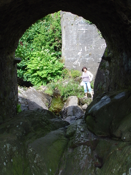 IRL 975 Sneem