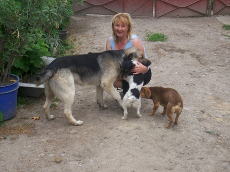Kép 016