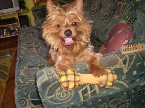 Képek 009