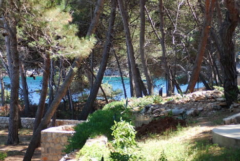 losinj 5
