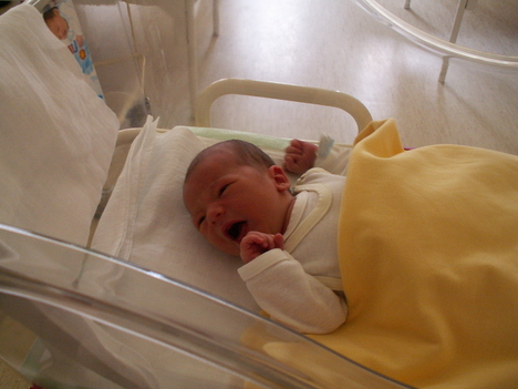PICT0001