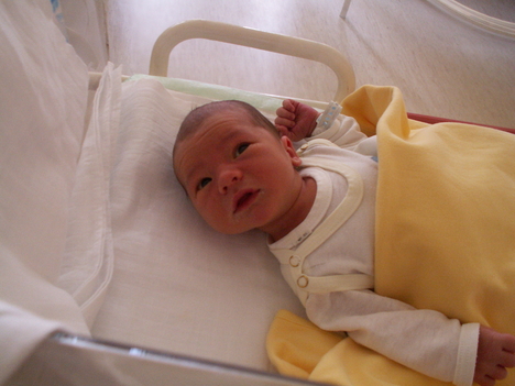 PICT0002