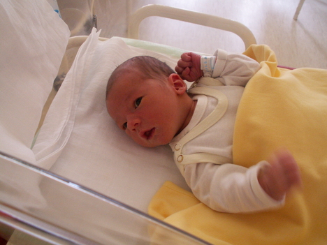 PICT0009