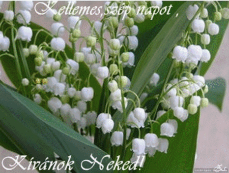 szep_napot_es_kellemes_hetet_1198977_8709_n