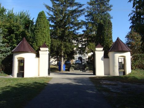 felsővadász 1 (40)