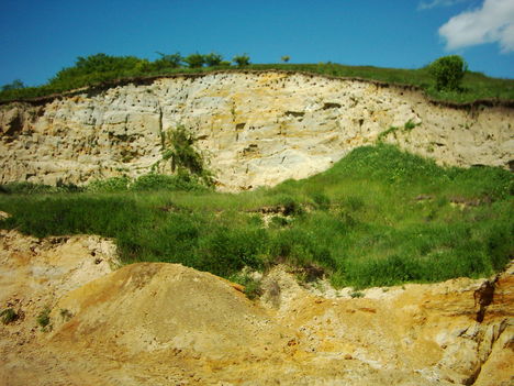 felsővadász 1 (72)