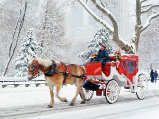 Karácsony 18