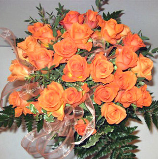 virag12119-30