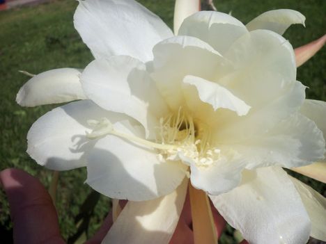 042
