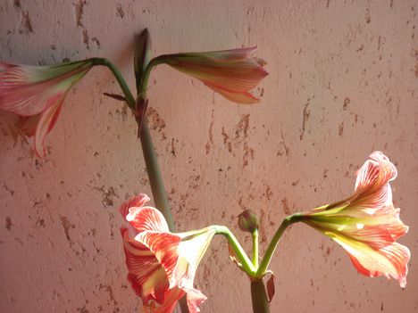 046