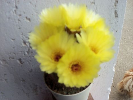 054