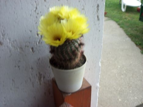 055