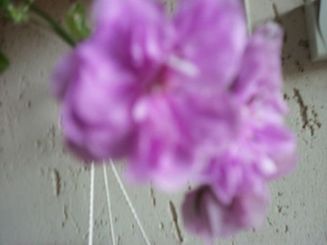 059
