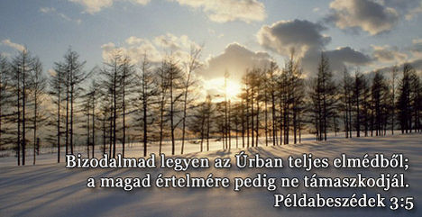 Ige 4