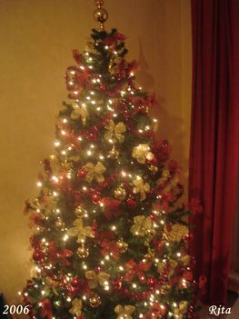 2006 karácsonyfa