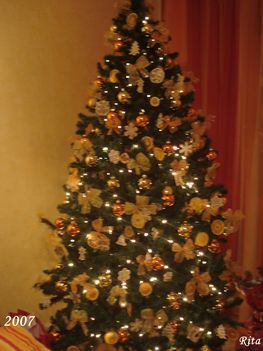 2007 karácsonyfa 