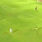 foci_nevetseges_188_gif_1325263_6790_n
