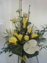 images (72)
