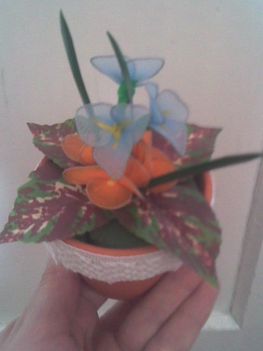 Kiscserepes