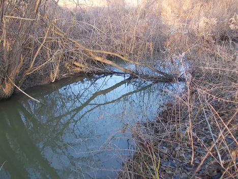 DSCN0879