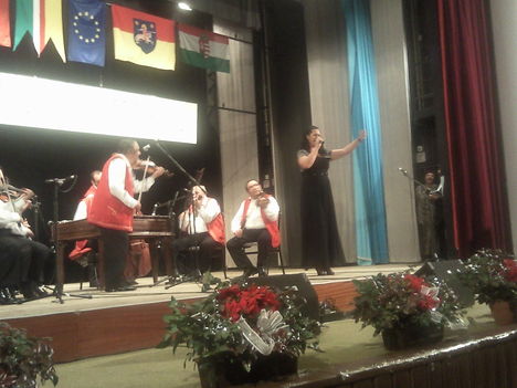 Fotó013