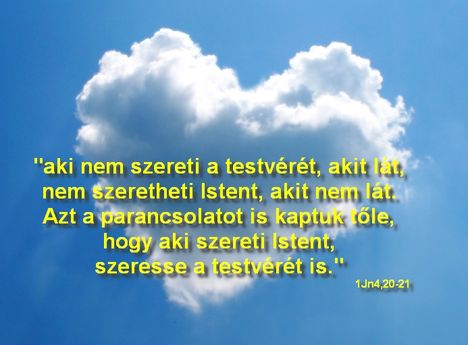 1Jn4_20_21