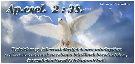 37900_05fb068411db