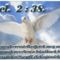 37900_05fb068411db