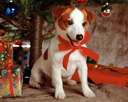 _wallcoo_com__christmas_280