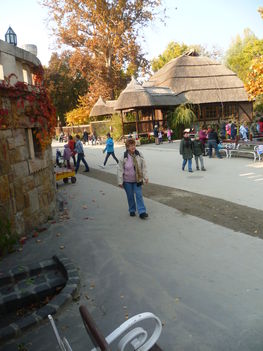 álatkertben es a városliget 009