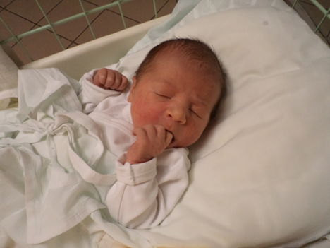 Bálint 2011.12.10.