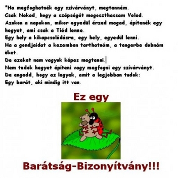 Barátság bizonyítvány