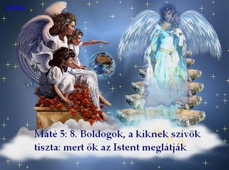 boldogok__akiknek__szivk_tiszta___mate_5__8