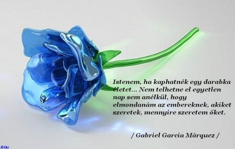 Darabka élet