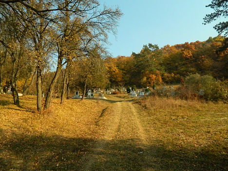 DSCN2090