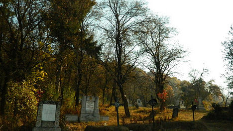 DSCN2095