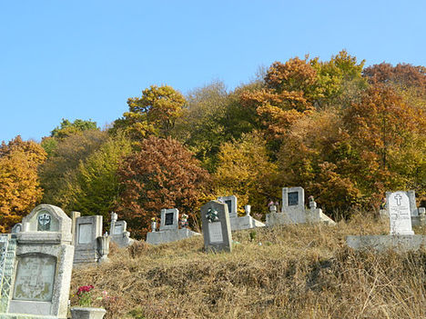 DSCN2131
