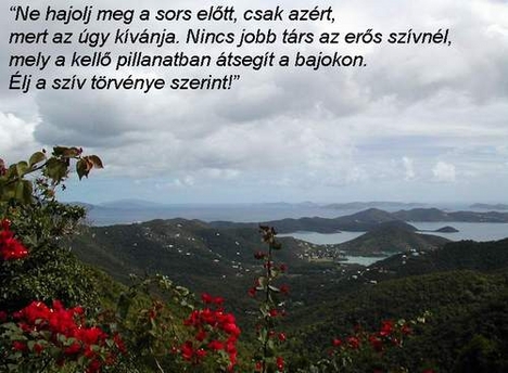 erős szív