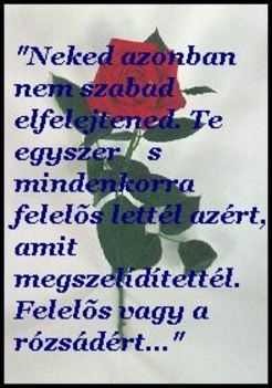 Felelős vagy