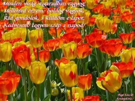 Legyen szép napod