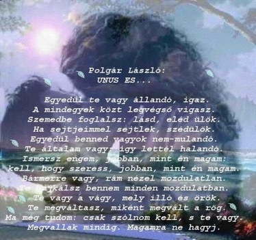 magamra ne hagyj