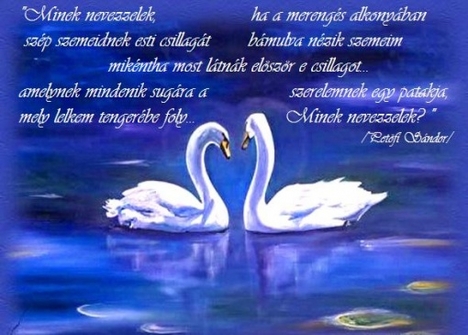Minek nevezzelek