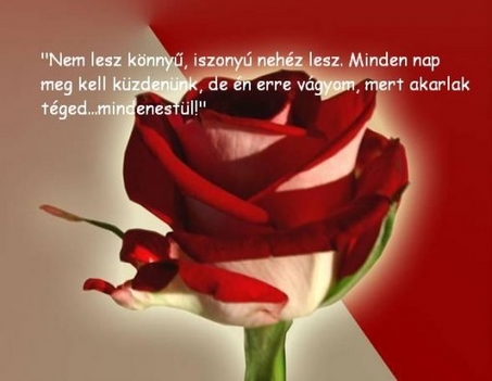 Nem lesz könnyű