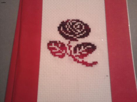Rose1