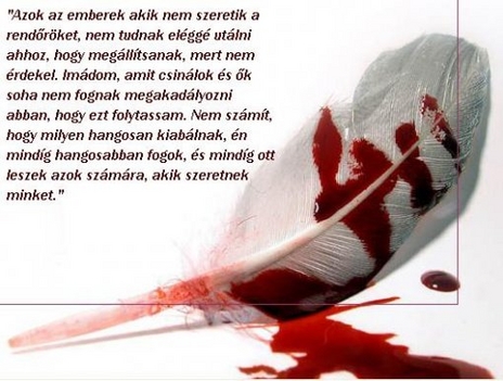 szeretem amit csinálok
